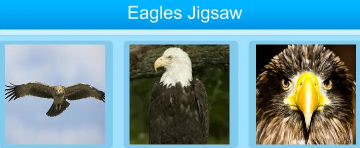 Eagles Jigsaw logo