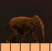Elephant Story logo