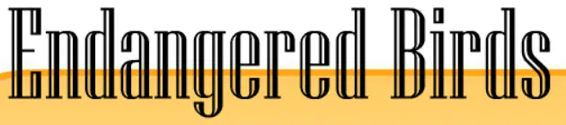 Endangered Birds Quiz logo