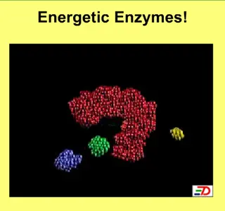 Energetic Enzymes! logo