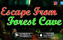 Escape From Forest Cave logo
