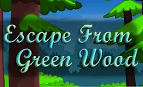 Escape From Green Wood logo