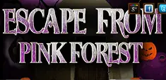 Escape From Pink Forest logo