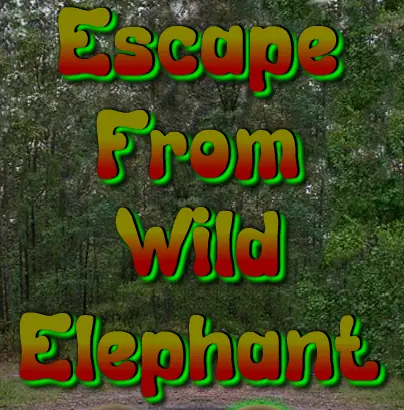 Escape from Wild Elephant logo