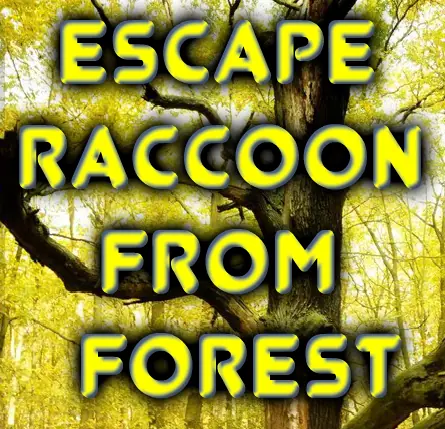 Escape Raccoon from Forest logo
