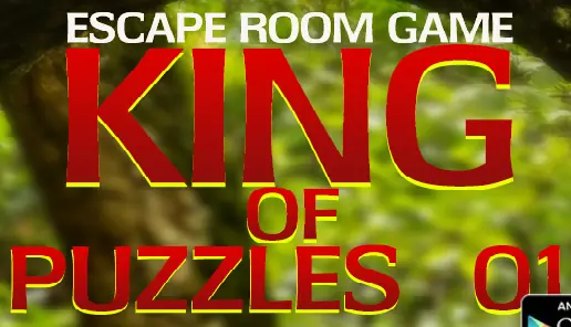 Escape Room Game: King Of Puzzles 01 logo