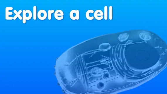 Explore a Cell logo