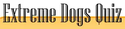 Extreme Dogs Quiz logo