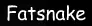 Fatsnake logo