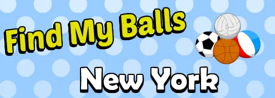 Find My Balls New York logo