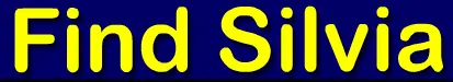 Find Silvia logo