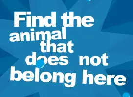 Find the animal that does not belong here logo