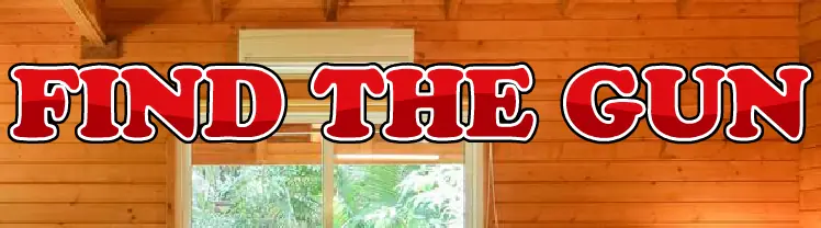 Find the Gun logo