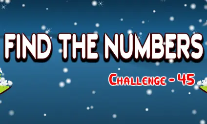 Find the Numbers 45 logo