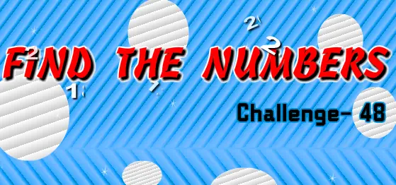 Find the Numbers 48 logo