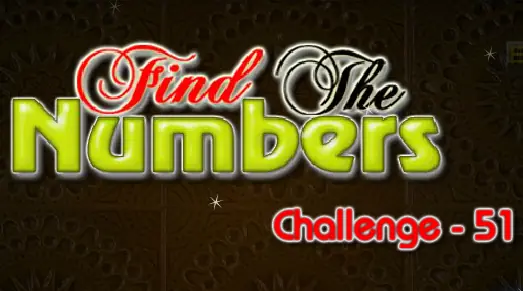 Find the Numbers 51 logo