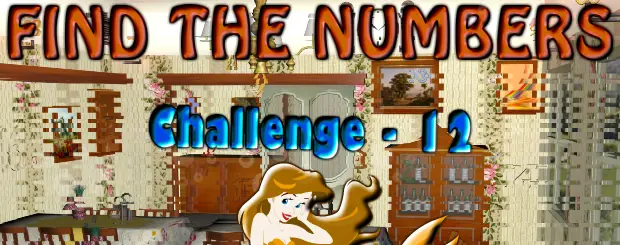 Find the Numbers Challenge - 12 logo