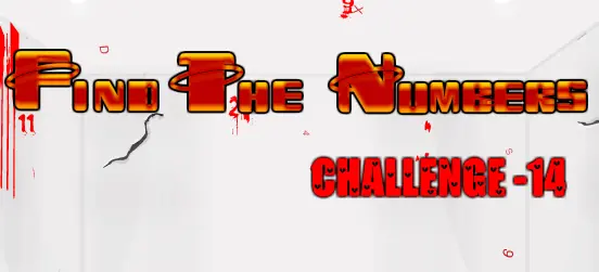 Find the Numbers Challenge - 14 logo