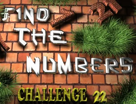Find the Numbers - Challenge 22 logo