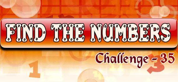 Find the Numbers Challenge - 35 logo