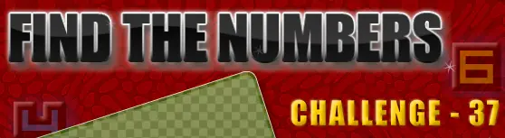 Find the Numbers Challenge - 37 logo