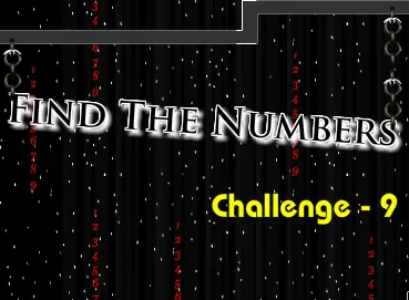 Find the Numbers Challenge - 9 logo