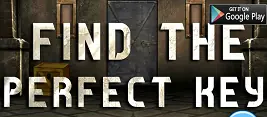 Find The Perfect Key logo