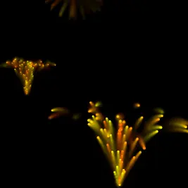 Firework Display logo