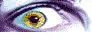Fisheye Lense Over Eyes logo