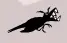 Flappy Dragon Bird Thing logo