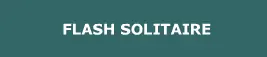Flash Solitaire logo