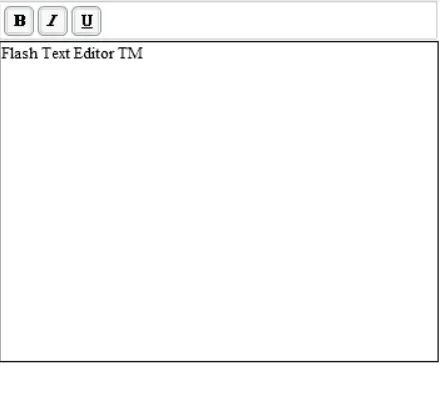 Flash Text Editor logo