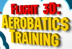 Flight 3D Aerobatics Training logo