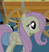 Flutternight logo