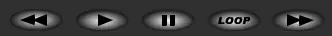 FLV Controller logo