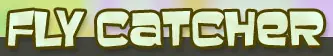 Fly Catcher logo
