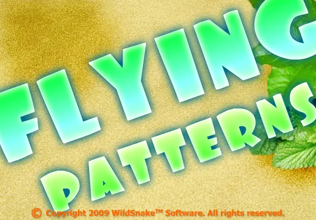 Flying Patterns logo