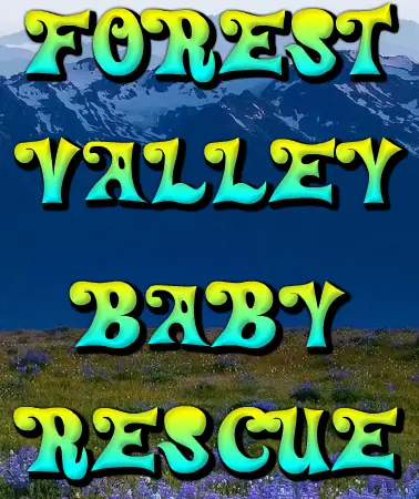 Forest Valley Baby Rescue logo