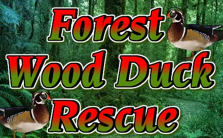 Forest Wood Duck Rescue logo