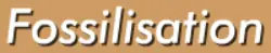 Fossilisation logo