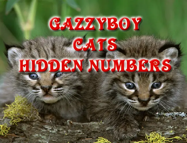 Gazzyboy Cats Hidden Numbers logo