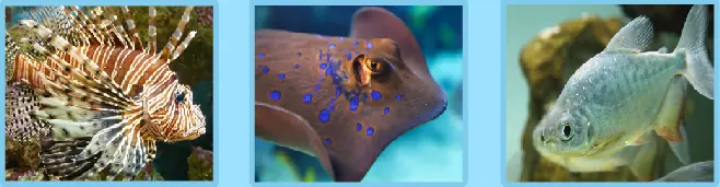Great Fish Jigsaw logo