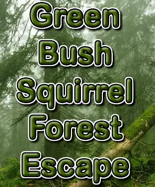 Green Bush Squirrel Forest Escape logo