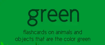Green flashcards logo