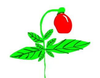 GrowOp logo