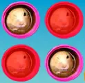 Hamster Tube Match logo