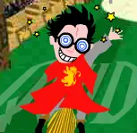 Harry Potter Quidditch logo