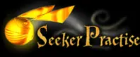 Harry Potter Seeker Practise logo