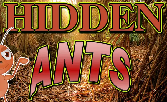 Hidden Ants logo