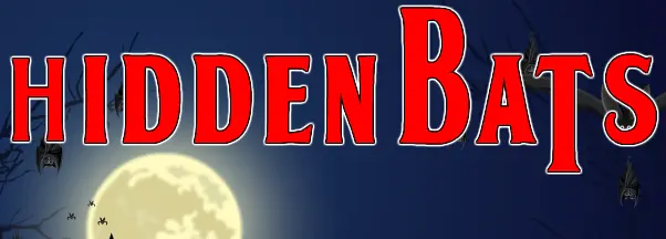 Hidden Bats logo